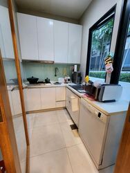 Mount Sinai Lane (D10), Terrace #475773671